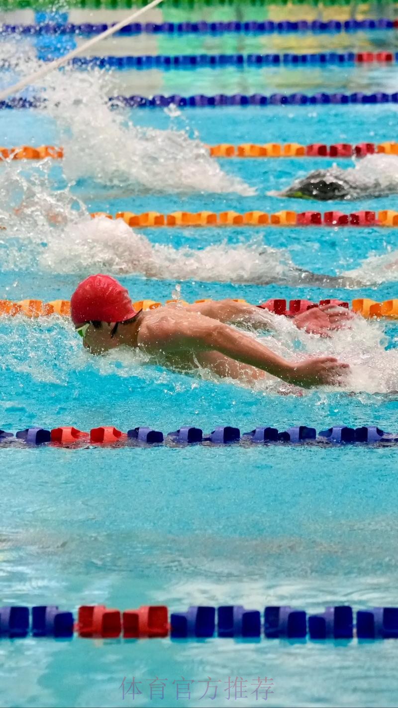 20260118 蝶泳 20260118 蝶泳